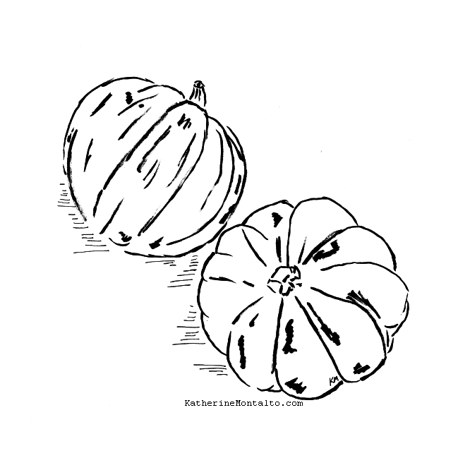 illustration of two acorn squash
