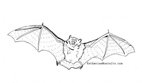2019 10 03 inktober bat