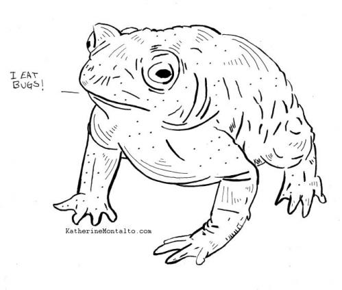 2019 10 08 inktober toad