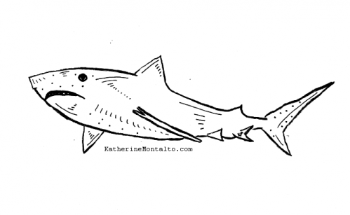 2020 08 29 sea creatures BW shark