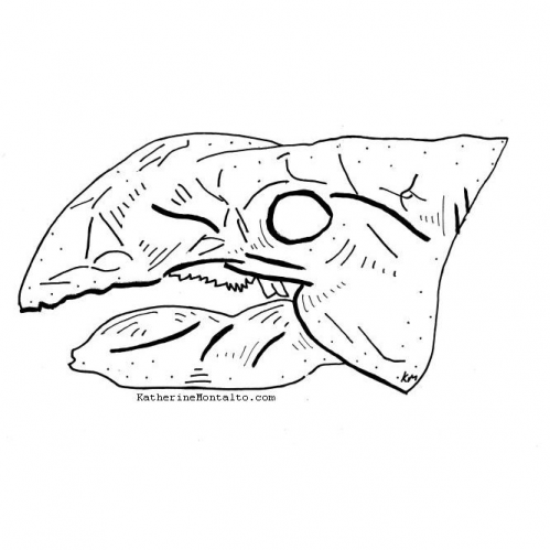 2020 10 14 dinoctober Ankylosaurus skull 