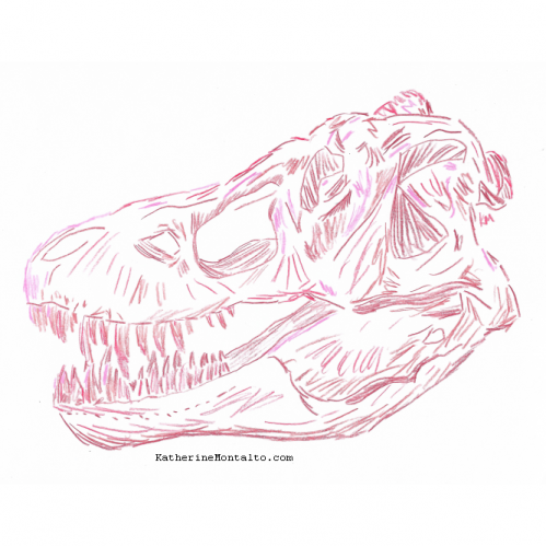 2020 10 21 dinoctober in color TRex Skull 