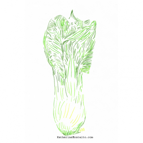 2021 05 vegetables in color bok choy
