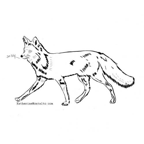 2019-10-26-inktober-fox